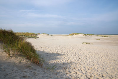 Beach at the coastline of amrum, north frisia, germany