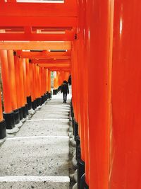 Rear view of woman walking in fushimi inari shrine