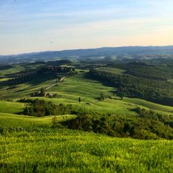 Scenic view of grassy field against sky