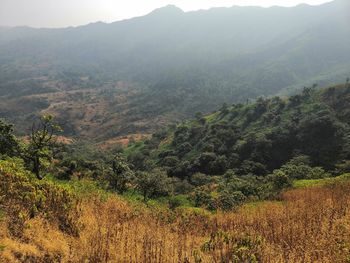 Scenic view of landscape against sky