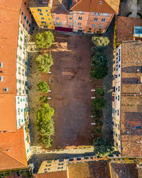 High angle view of trees and buildings in town