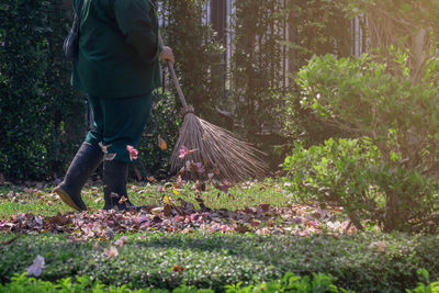 Low section of man walking by trees in forest