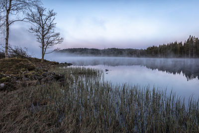 Scenic view of lake against sky