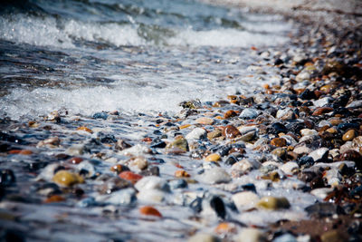 Scenic view of beach