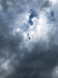 Low angle view of bird flying in sky