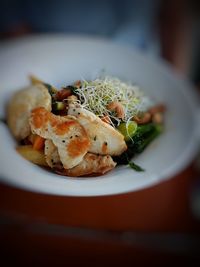 Close-up of meal served in plate