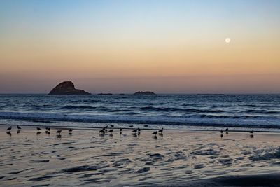 Scenic view of sea against clear sky during sunset