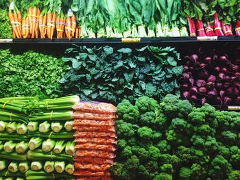 Close-up of multi colored vegetables for sale in market