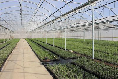 Scenic view of field seen through greenhouse