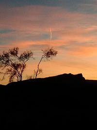 Silhouette of trees at sunset