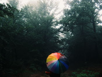 View of trees