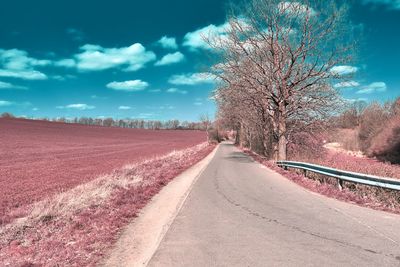 Empty road by trees against sky