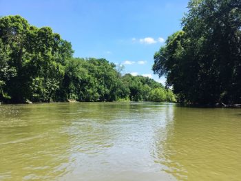 Scenic view of river and trees against sky