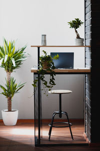 Potted plants on table against wall at home