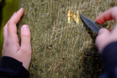 Close-up of hand feeding on grass