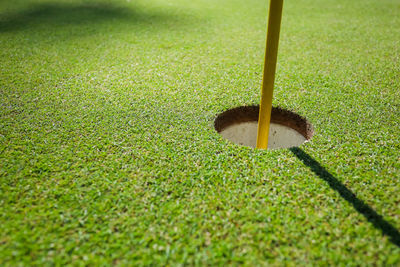 View of golf ball on field