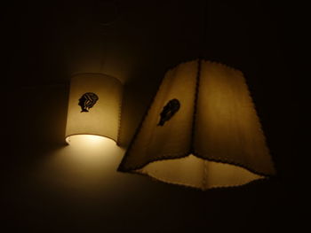 Illuminated lamp