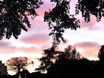 Low angle view of silhouette trees against sky at sunset