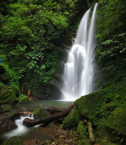 Scenic view of waterfall in forest