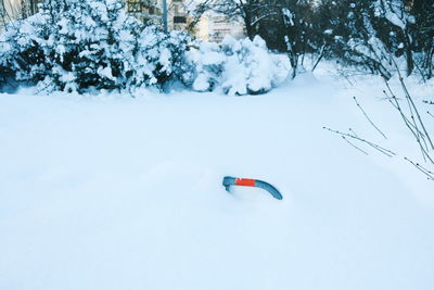 High angle view of snow covered field and trees