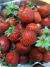 Close-up of strawberries