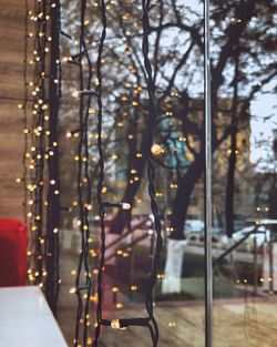 Illuminated trees seen through glass window of building