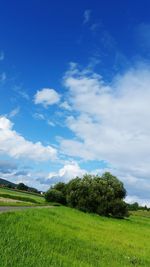 Scenic view of field against blue sky