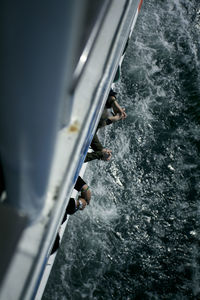 High angle view of sailboat in sea