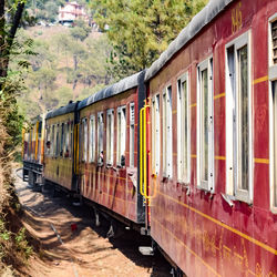 Toy train moving on mountain slopes, beautiful view forest, toy train from kalka to shimla in india