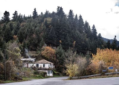 Trees and houses against sky