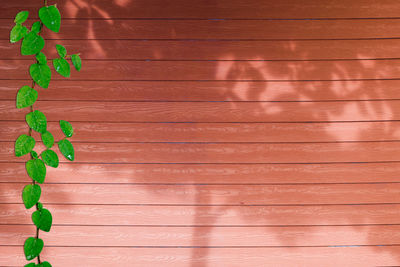 Full frame shot of textured wall