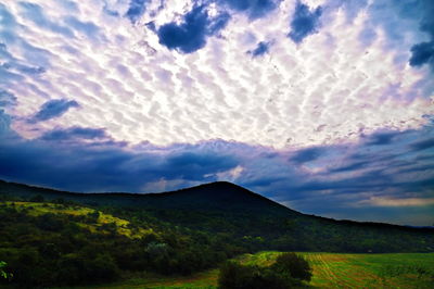 Scenic view of landscape against sky