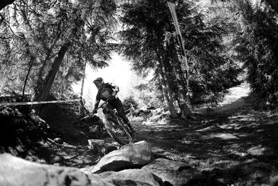 Man riding trees in forest