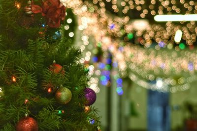 Close-up of illuminated christmas tree