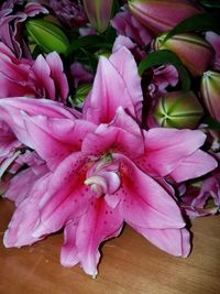 Close-up of pink rose flowers