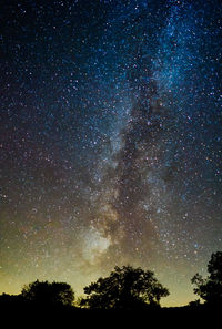 Low angle view of silhouette trees against sky at night