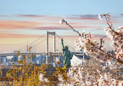 Replica of the french statue of liberty with cherry blossoms in the odaiba seaside park.