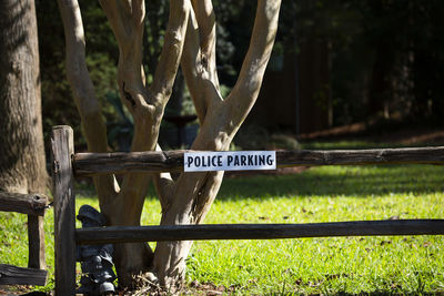 Sign board on tree trunk