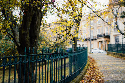 Fence and tree by building