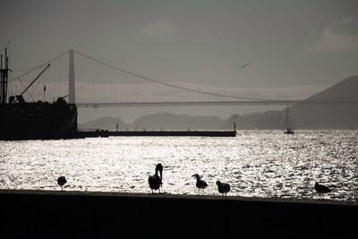 View of people on bridge over sea