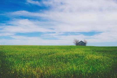 Scenic view of field against cloudy sky