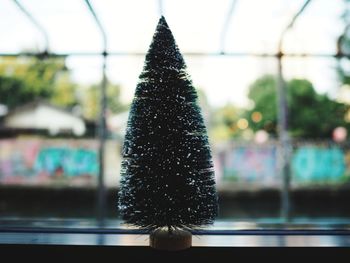 Close-up of christmas decoration on window sill