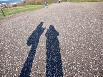 Shadow of couple holding hands