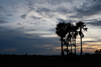 Silhouette tree on field against sky at sunset