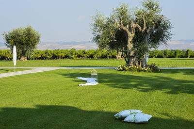 Scenic view of golf course against sky