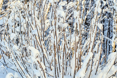 Full frame shot of snow