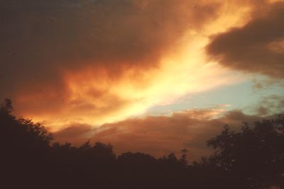 Low angle view of silhouette trees against orange sky