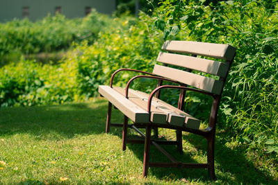 Empty bench in park