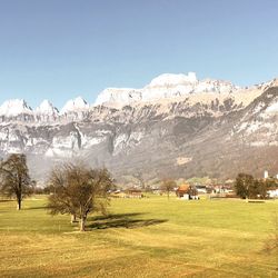 Scenic view of field against clear sky