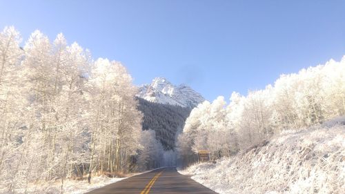 Road amidst trees against clear sky during winter